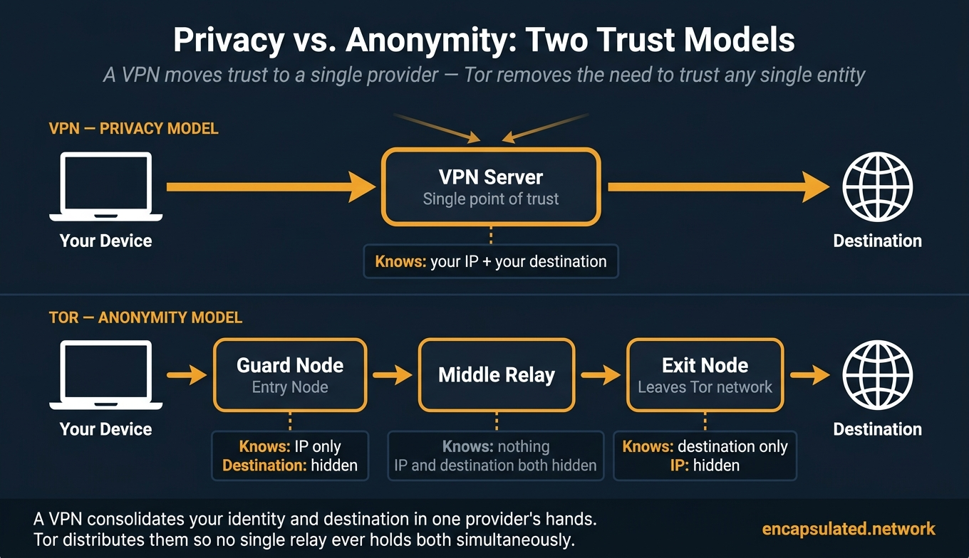 Comparison diagram showing two privacy models in two horizontal rows. Top row labelled VPN Privacy Model shows a device sending traffic to a VPN Server with a heavier amber border and the subtitle Single point of trust, with an annotation reading Knows your IP and your destination. Bottom row labelled Tor Anonymity Model shows a device passing traffic through three relay nodes: Guard Node annotated Knows IP only, Middle Relay shown with a gray border annotated Knows nothing, and Exit Node annotated Knows destination only. No single Tor relay holds both pieces of information simultaneously.