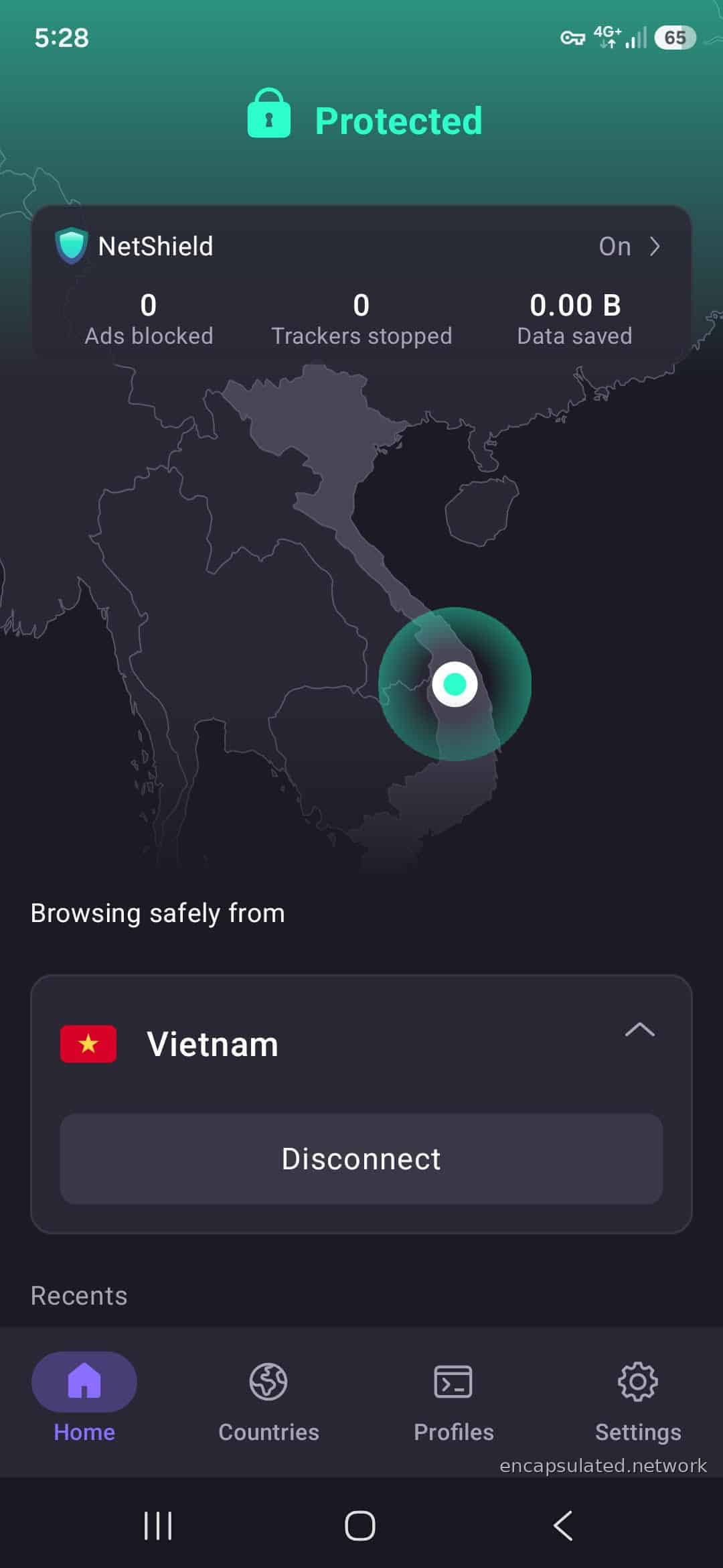ProtonVPN Android app showing a Protected connection to Vietnam, with the Vietnamese flag displayed, the map pin positioned over Vietnam, and a Disconnect button confirming the active session