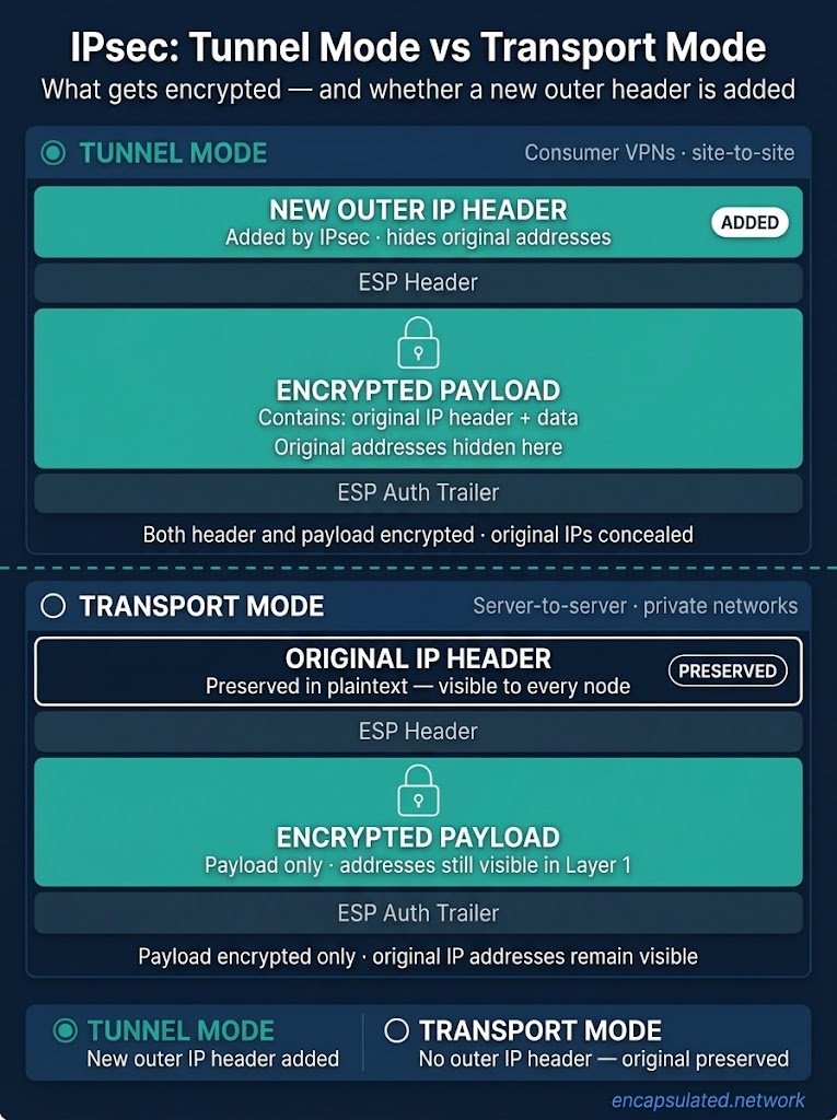 Diagram comparing IPsec tunnel mode and transport mode. In tunnel mode, a new outer IP header is added on top of the encrypted payload, which contains both the original IP header and data — hiding the original addresses. In transport mode, the original IP header is preserved in plaintext with only the payload encrypted and no new outer header added. A summary callout at the bottom shows: tunnel mode adds an outer IP header; transport mode preserves the original.
