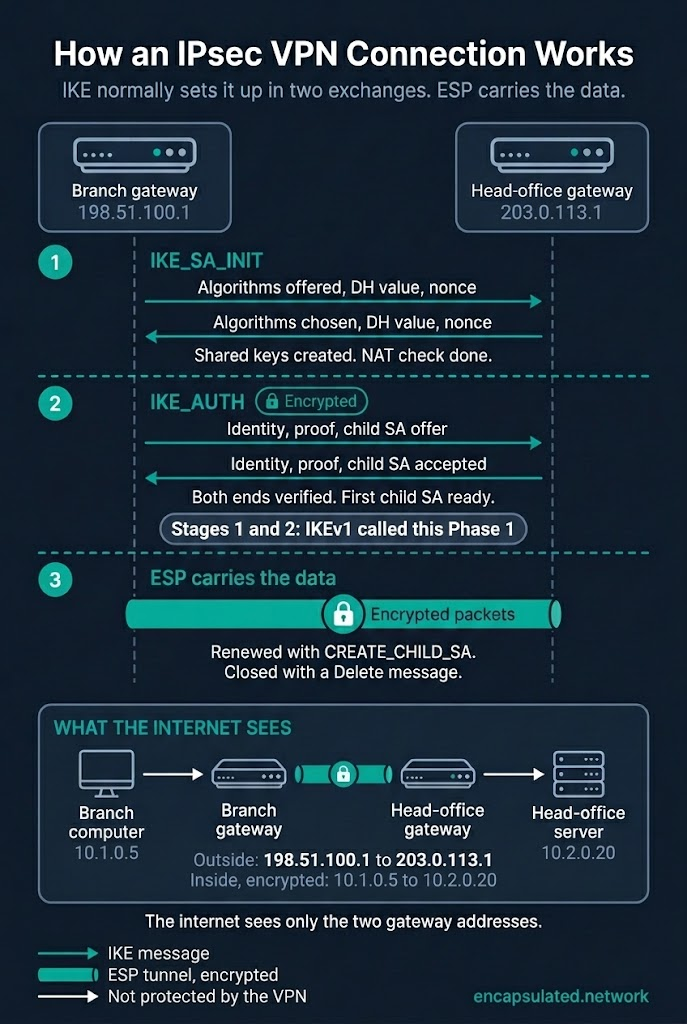 Diagram of an IPsec VPN connection between a branch gateway (198.51.100.1) and a head-office gateway (203.0.113.1). In IKE_SA_INIT the gateways agree algorithms and exchange Diffie-Hellman values and nonces. In IKE_AUTH, which is encrypted, they prove their identities and set up the first child SA. ESP then carries the data through an encrypted tunnel. A panel at the bottom shows a packet from a branch computer (10.1.0.5) to a head-office server (10.2.0.20): on the internet only the two gateway addresses are visible.